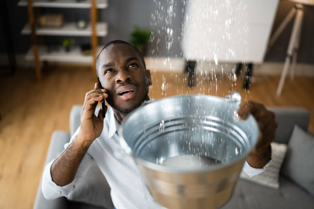 Best Basement water damage restoration  in White Hall, IL