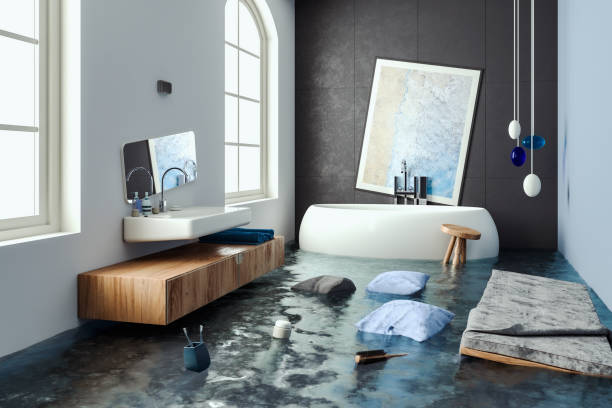 Best Commercial water damage restoration  in White Hall, IL