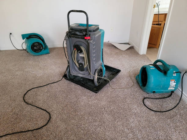 Best Flood restoration services  in White Hall, IL