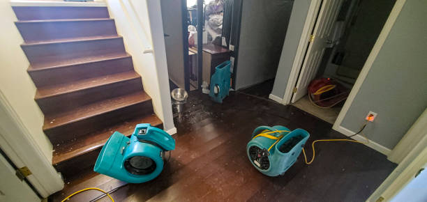 Best Ceiling water damage repair  in White Hall, IL