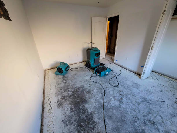 Best Water damage restoration near me  in White Hall, IL