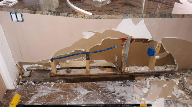 Best Water damage contractors near me  in White Hall, IL