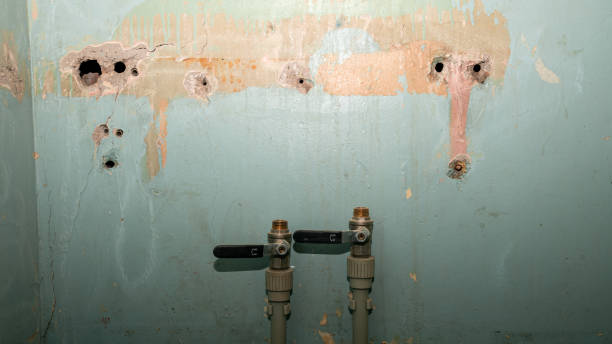 Water damage restoration experts in IL