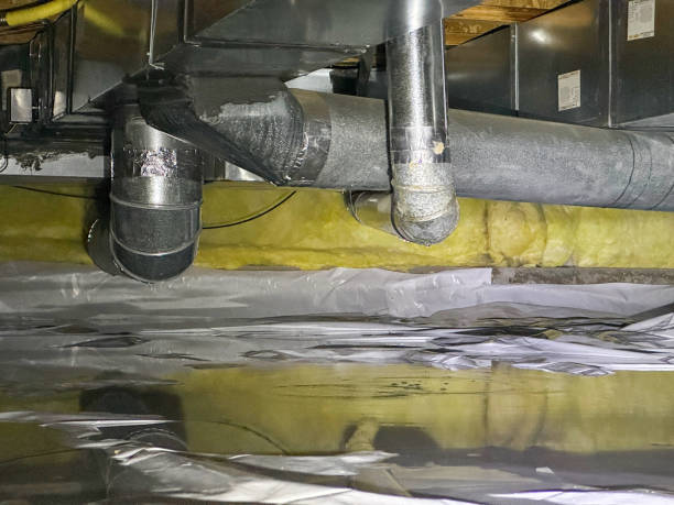 Best Flooded house restoration  in White Hall, IL