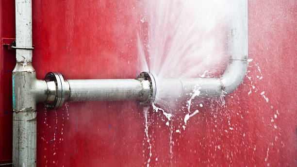 Best 24/7 water damage repair  in White Hall, IL